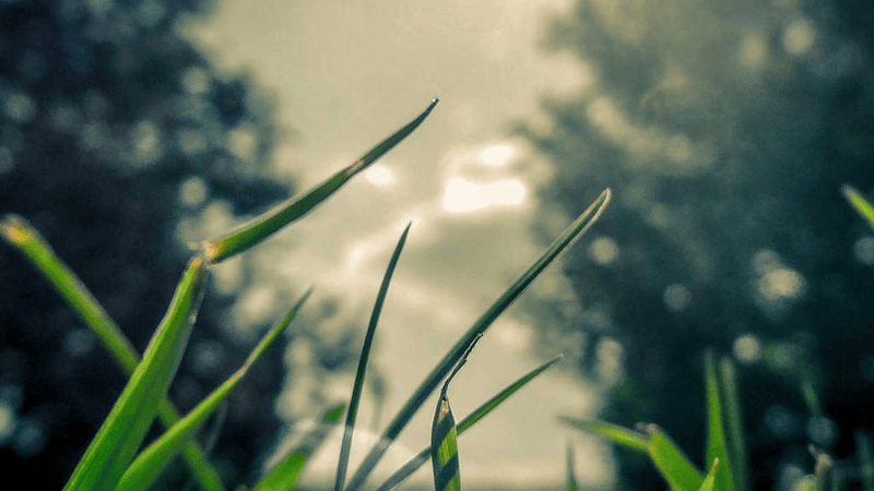 Airplane - professional stock photography