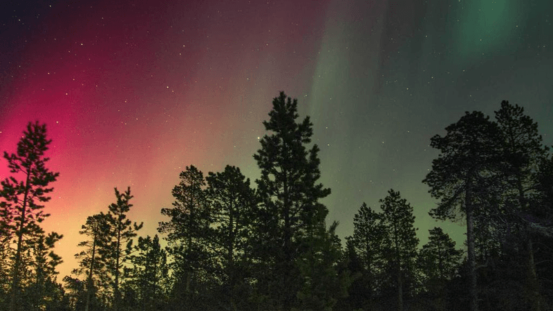 Backpack - professional stock photography